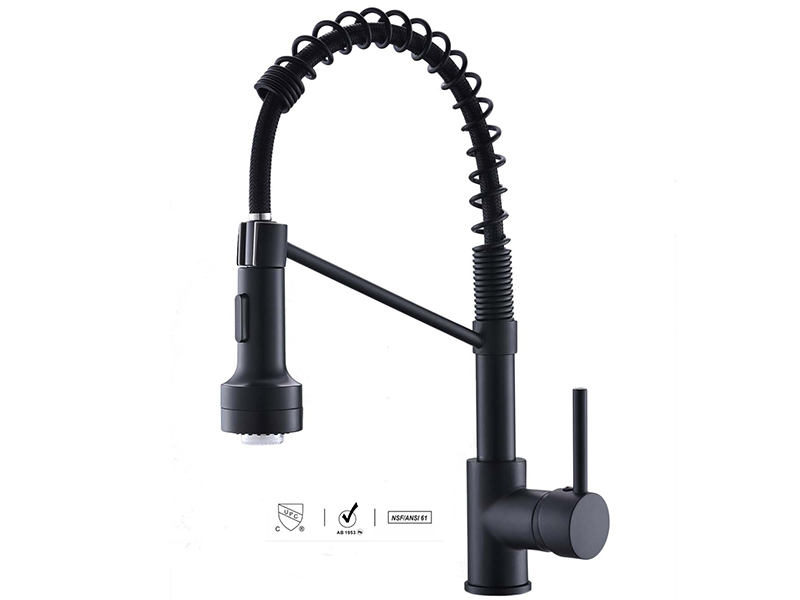 kitchen sink faucet with pull down spray
