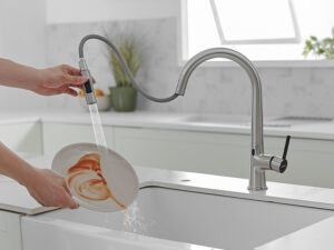 sprayer faucet