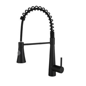 single handle kitchen faucet with sprayer black