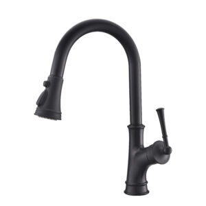matte black pull-down kitchen faucet