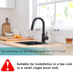 fingerprint resistant black kitchen faucet