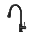 matte black pull-down kitchen faucet