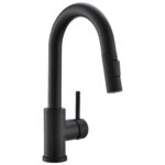 matte black pull out kitchen faucet with sprayer