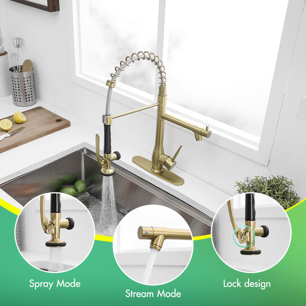 Multi-Function Sprayer + Dual Water Modes