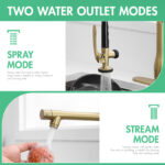 Multi-Function Sprayer + Dual Water Modes