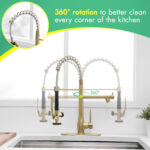 360° Rotatable Spring Spout + Pull-Down Hose