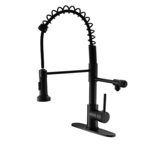 Kitchen Faucet with Water Filler