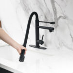 Flexible Spring Pull-Down Sprayer with Full Reach