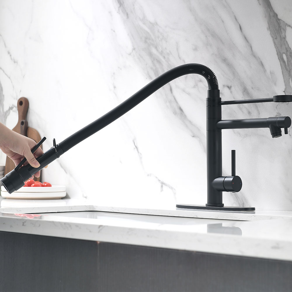 Flexible Spring Pull-Down Sprayer with Full Reach