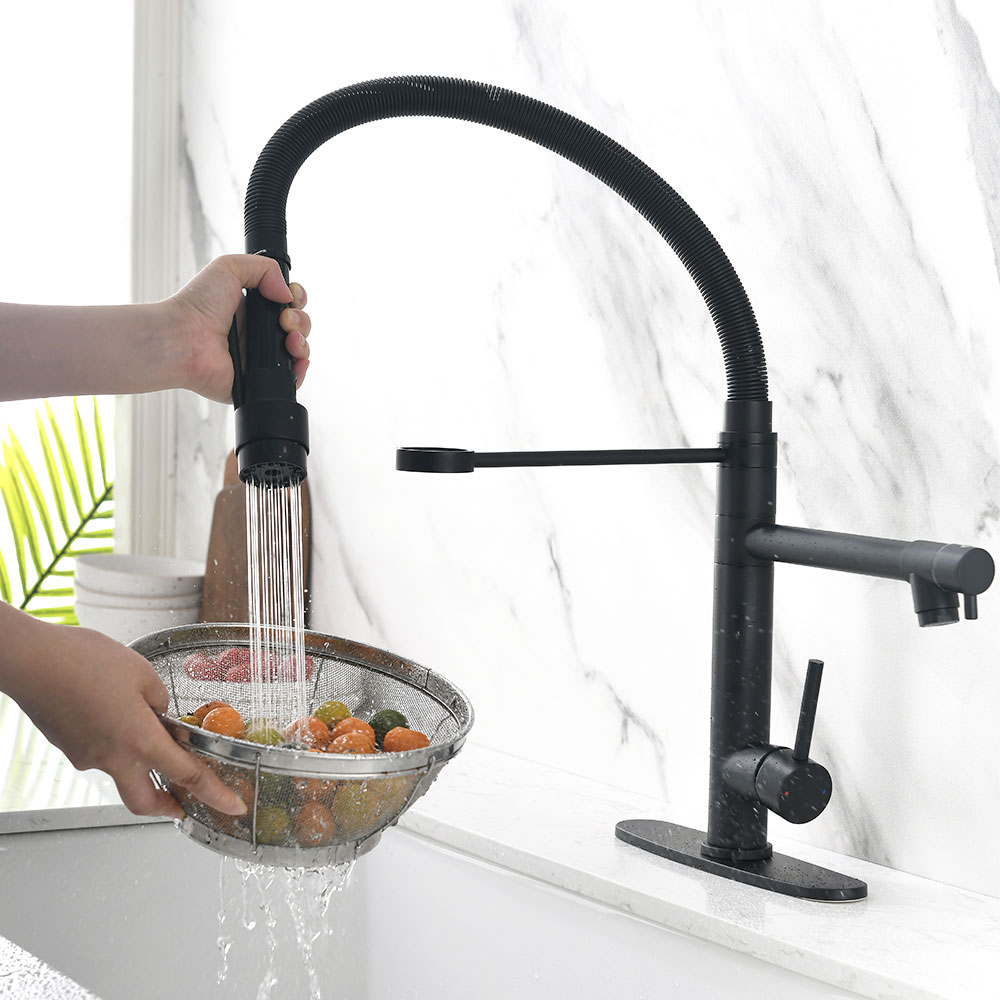 Dual Sprayer Modes (Stream + Powerful Spray)