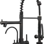 3 in 1 Kitchen Faucet with Water Filler and Pull Down Sprayer