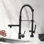 dual function spray kitchen faucet with flexible hose
