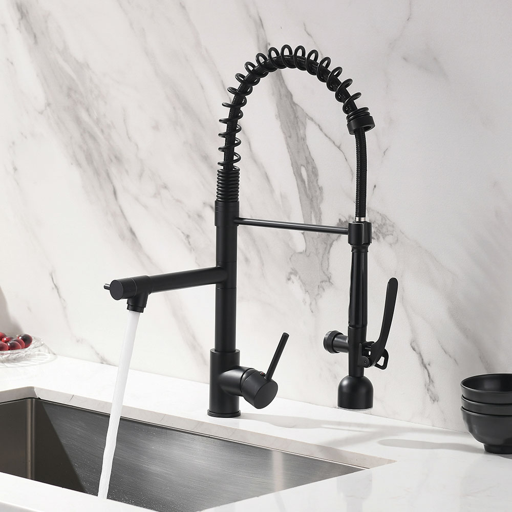 matte black kitchen faucet dual spray